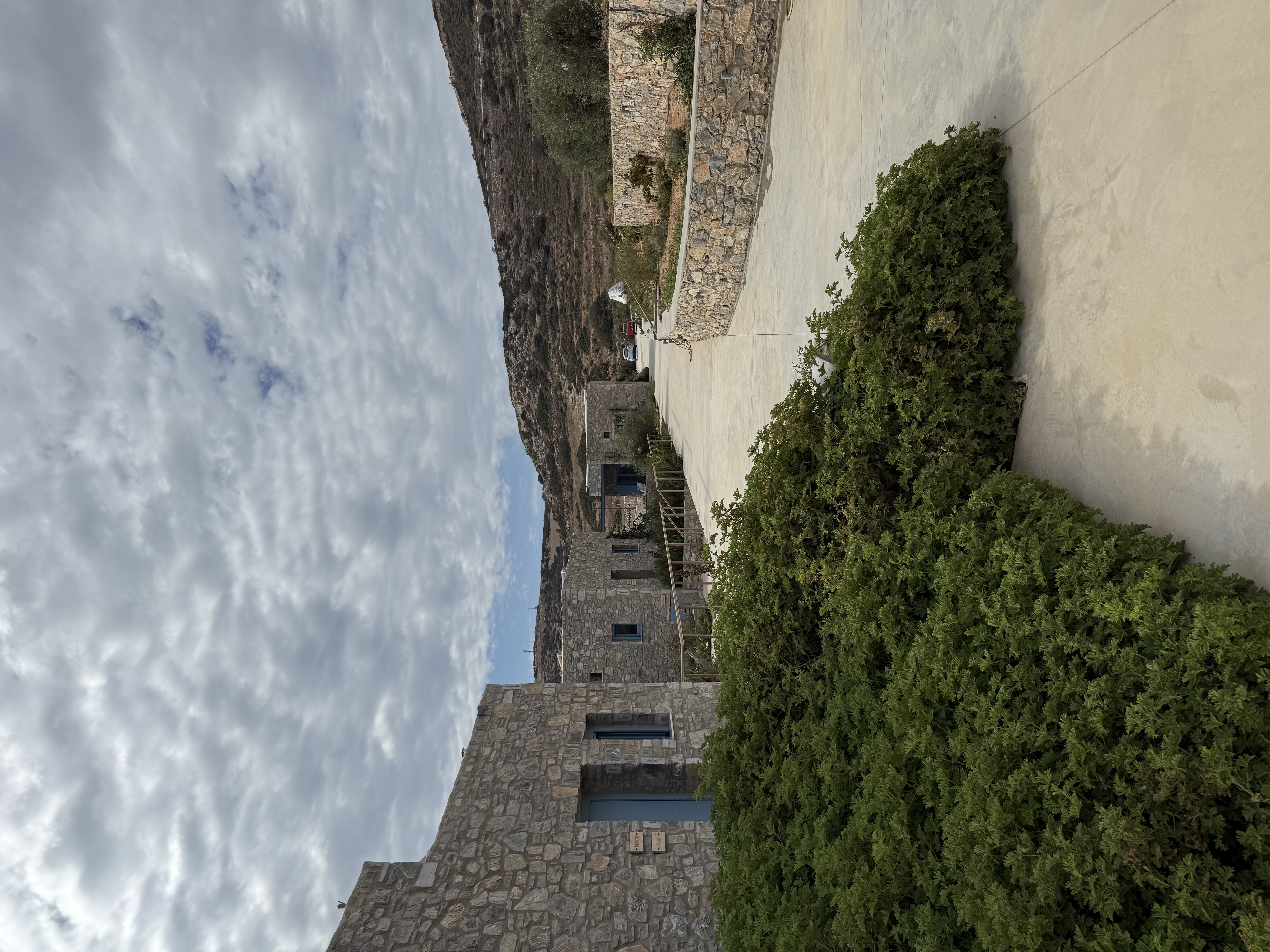 Εξωτερικός χώρος Filotimia - img310